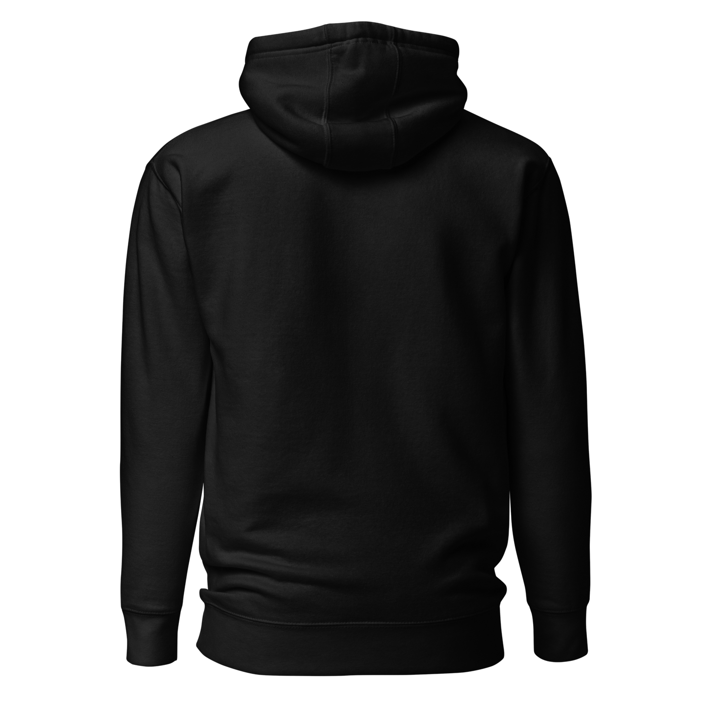 Color: Black | Moonlit Reflection hoodie back view