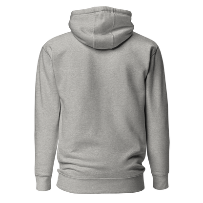Color: Carbon Grey | Color Divide Front hoodie back view