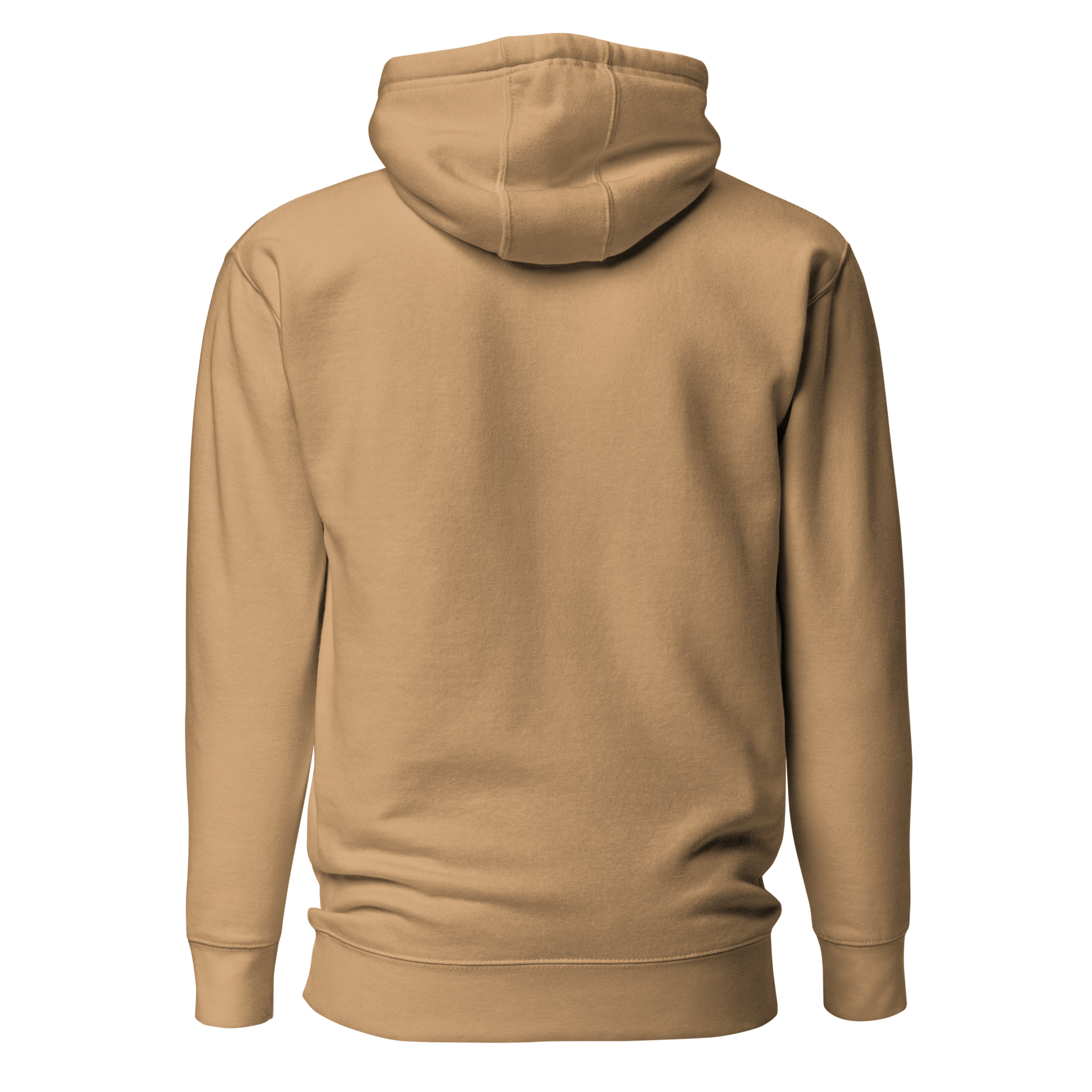 Color: Khaki | Moon Study hoodie back view