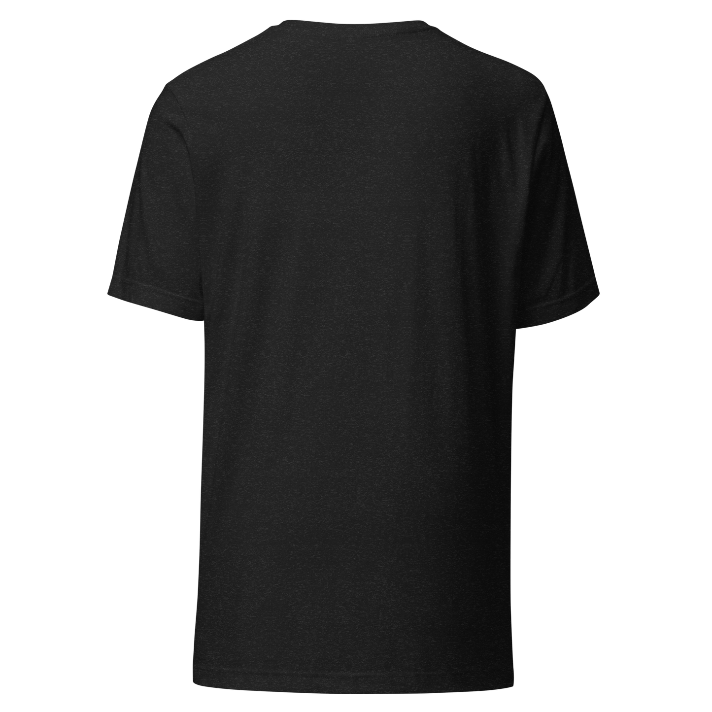 Color: Black Heather | Moonlit Reflection tee back view